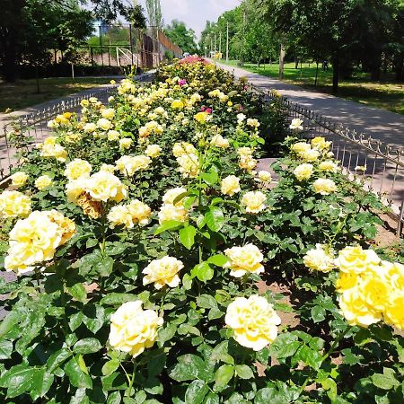 1-Комн. Квартира В Центре Возле Козак Палаца! Запорожье Экстерьер фото