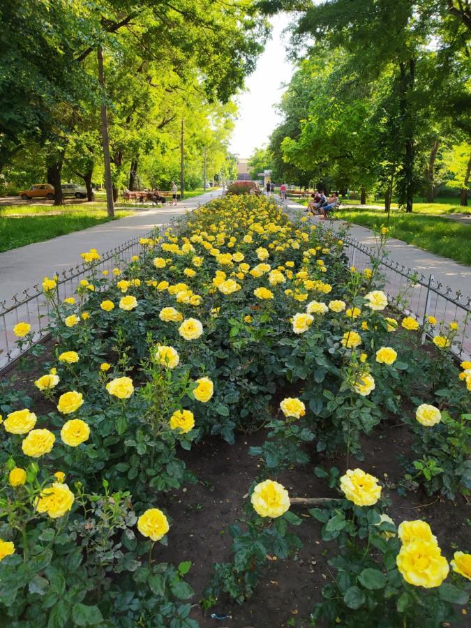 1-Комн. Квартира В Центре Возле Козак Палаца! Запорожье Экстерьер фото